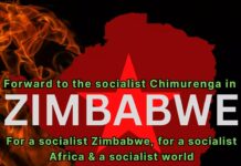 Zimbabwe: 43 years of “freedom” to be looted and sold
